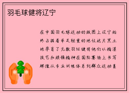 羽毛球健将辽宁